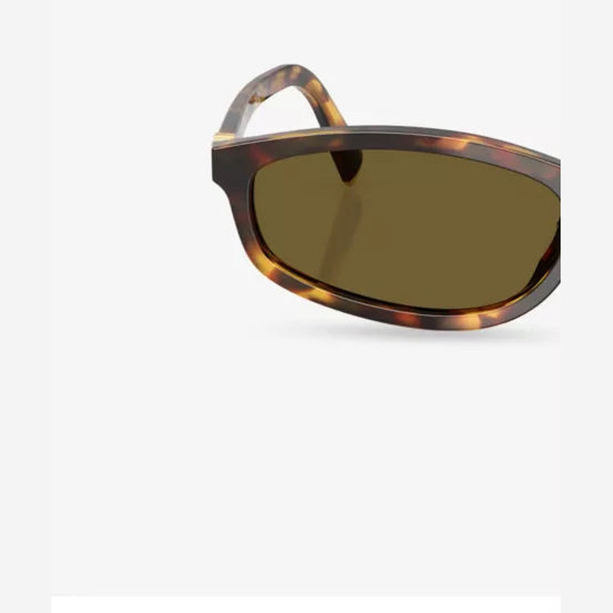 Oval-frame acetate sunglasses detail