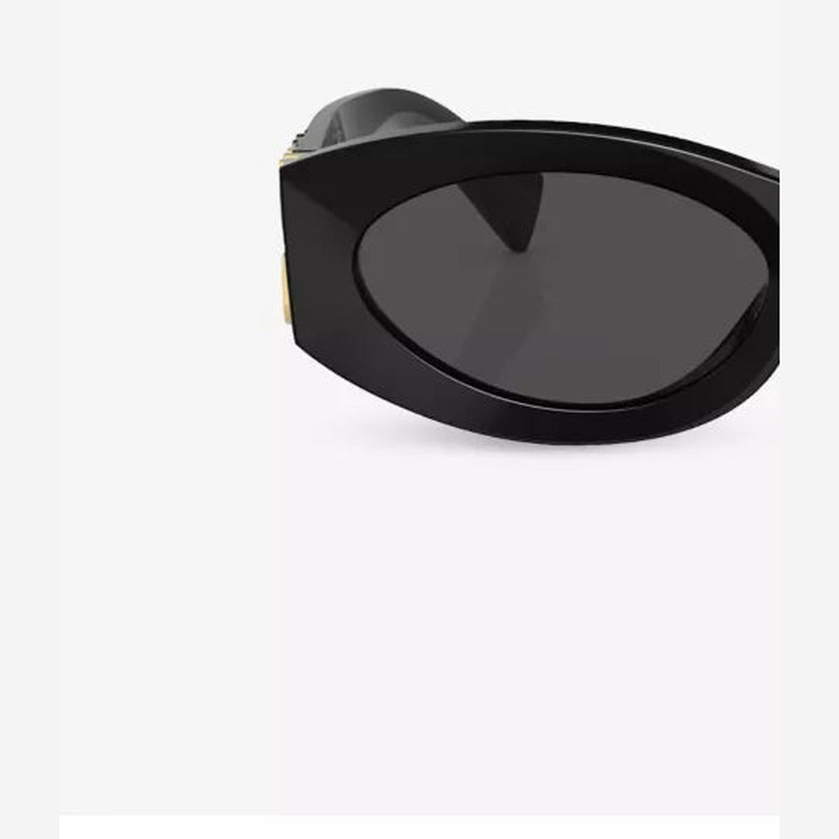 Oval-frame acetate sunglasses detail